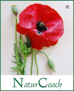 NaturCoaching Ausbildung